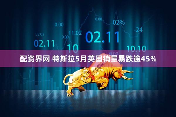 配资界网 特斯拉5月英国销量暴跌逾45%